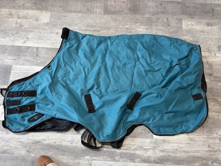 KESINGTON Lightweight turnout 80 Gm blanket