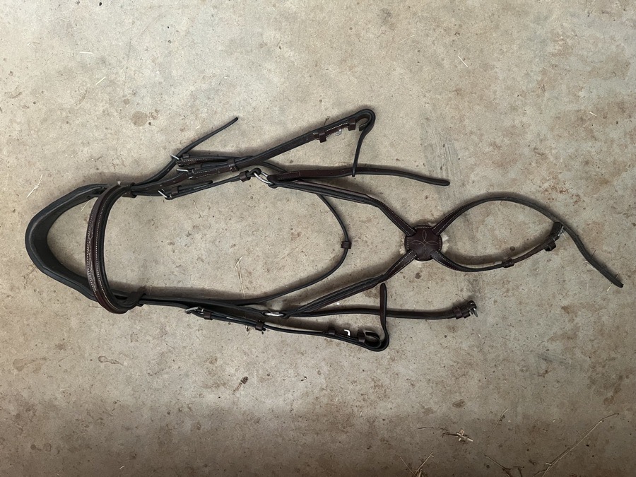 Red Barn Cob Size Figure 8 Headstall