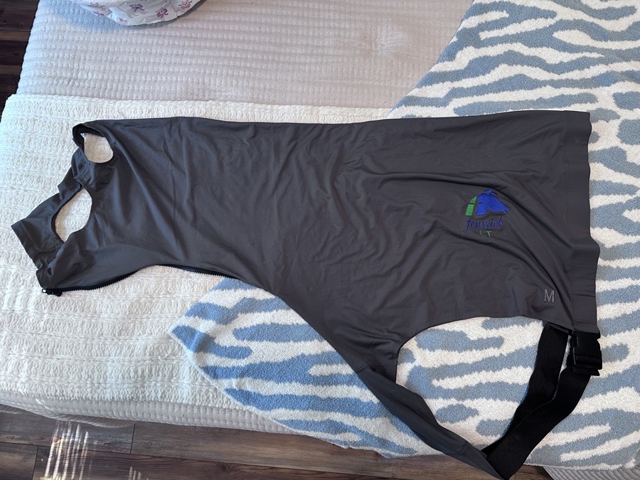 Brand New Fenwick LT sleazy  