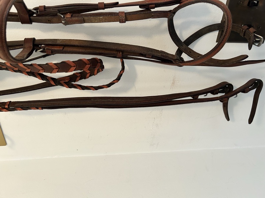 FANCY STITCH HUNTER BRIDLE