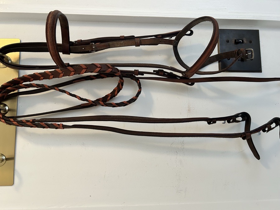 FANCY STITCH HUNTER BRIDLE