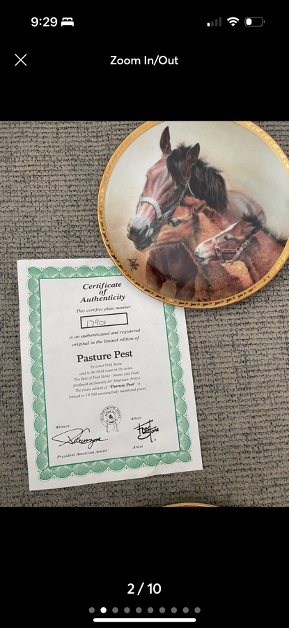 Horse collector plates