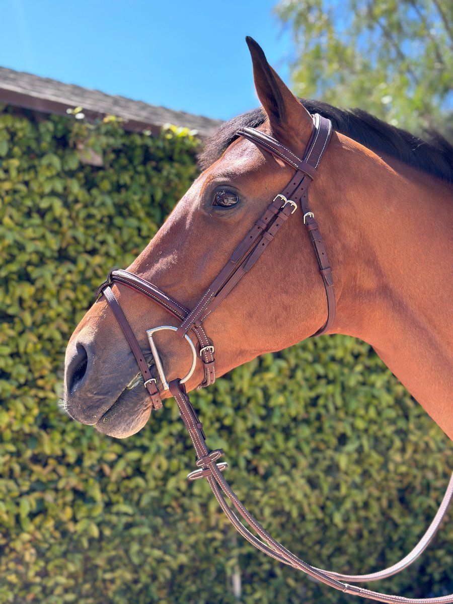 HOPLA Sellerie  French Noseband Bridle With Fancy Stitching