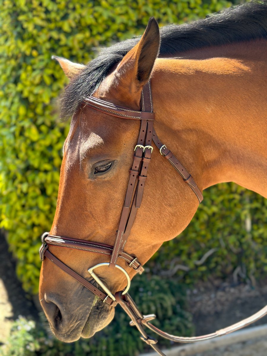 HOPLA Sellerie  French Noseband Bridle With Fancy Stitching