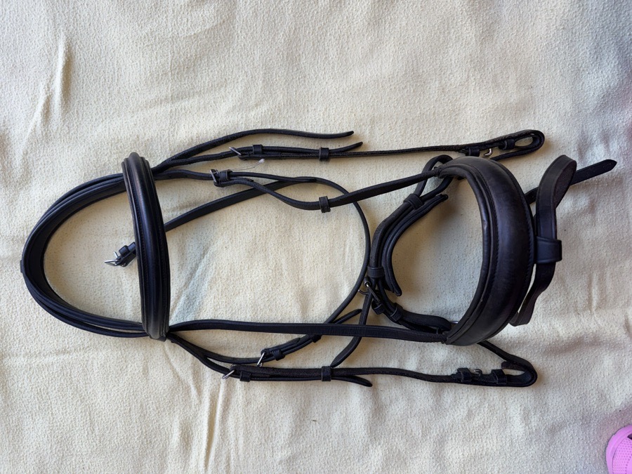 Black crank noseband bridle