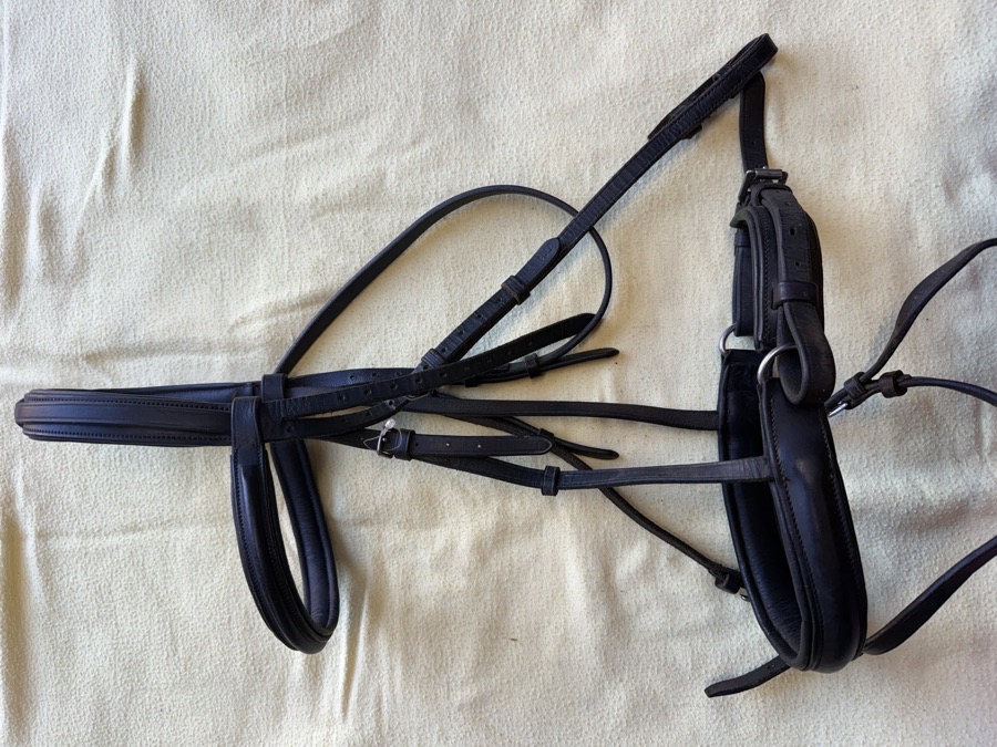 Black crank noseband bridle