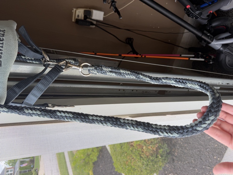 LEMIEUX Halter/Rope Cob