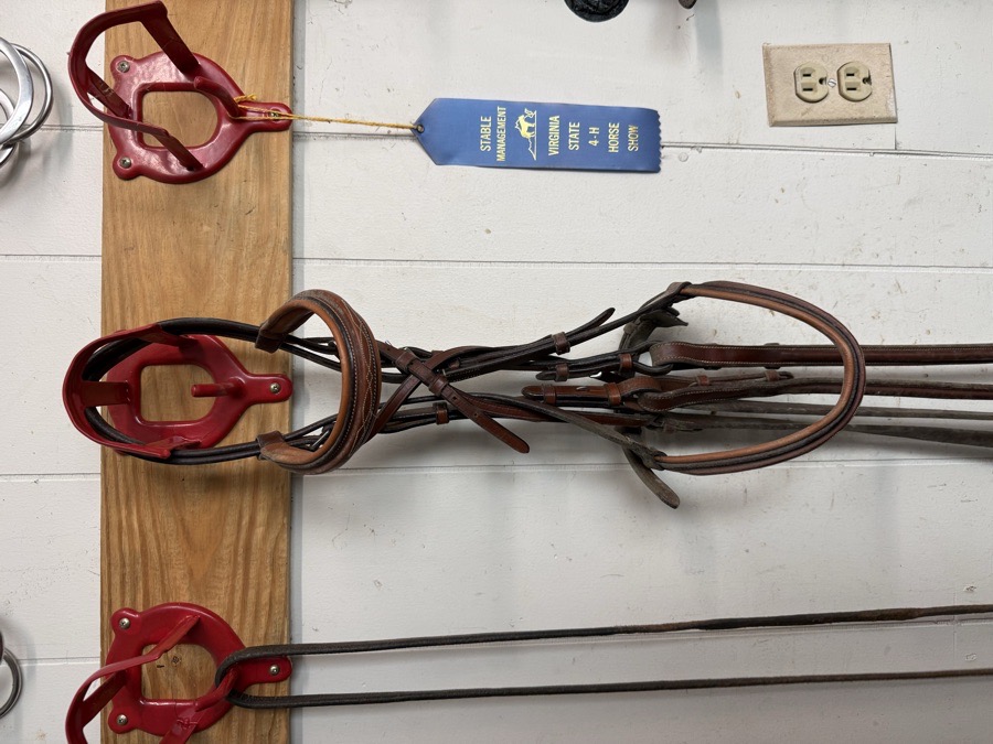 Bridle