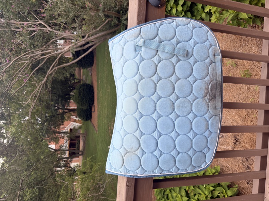 Roma blue saddle pad
