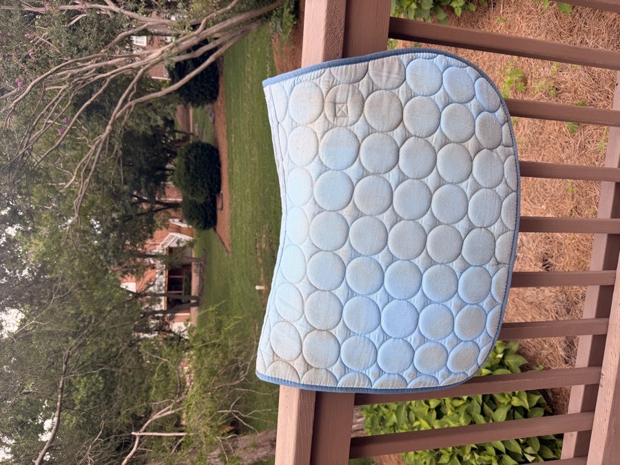 Roma blue saddle pad