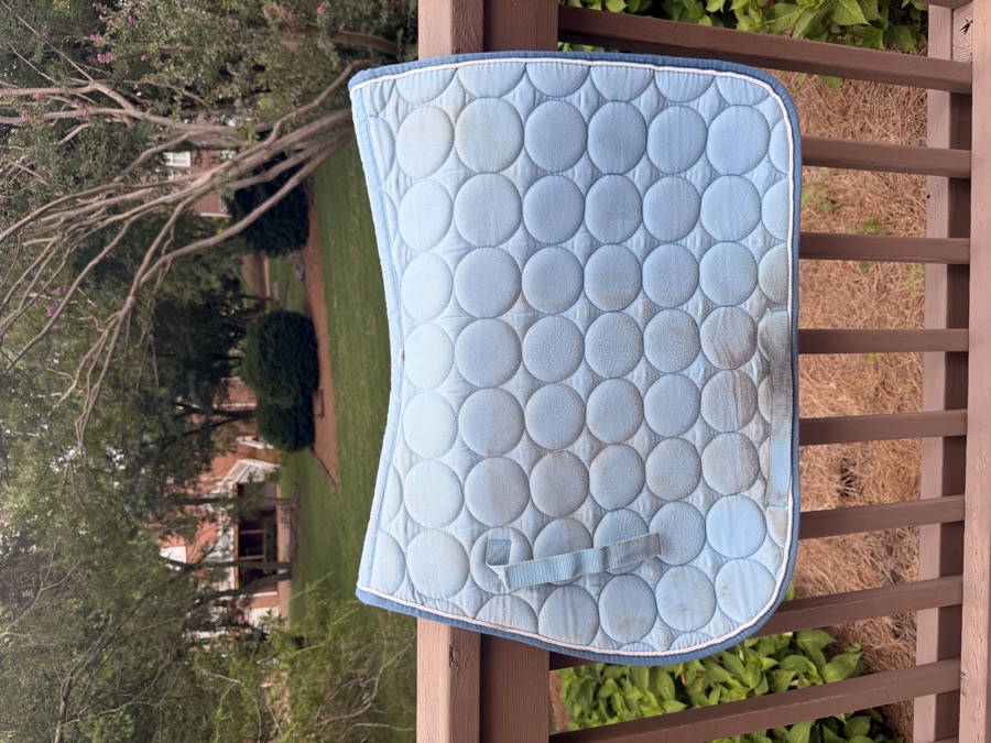 Roma blue saddle pad