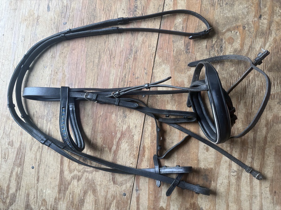 Black full sized flash bridle with bling and reins browband