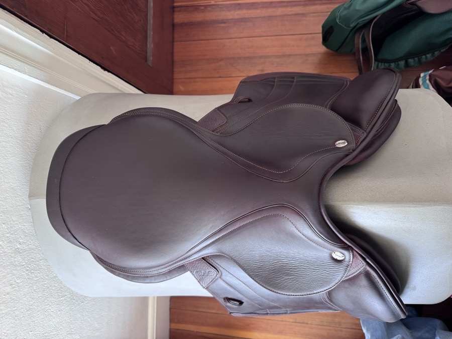 17.5” CWD SE38 Mademoiselle Hunter 2Gs - 2024 - 2LH - TWO RIDES