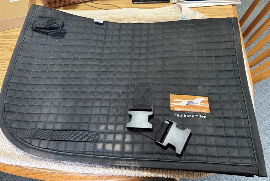 Equicore Concepts Equiband Western