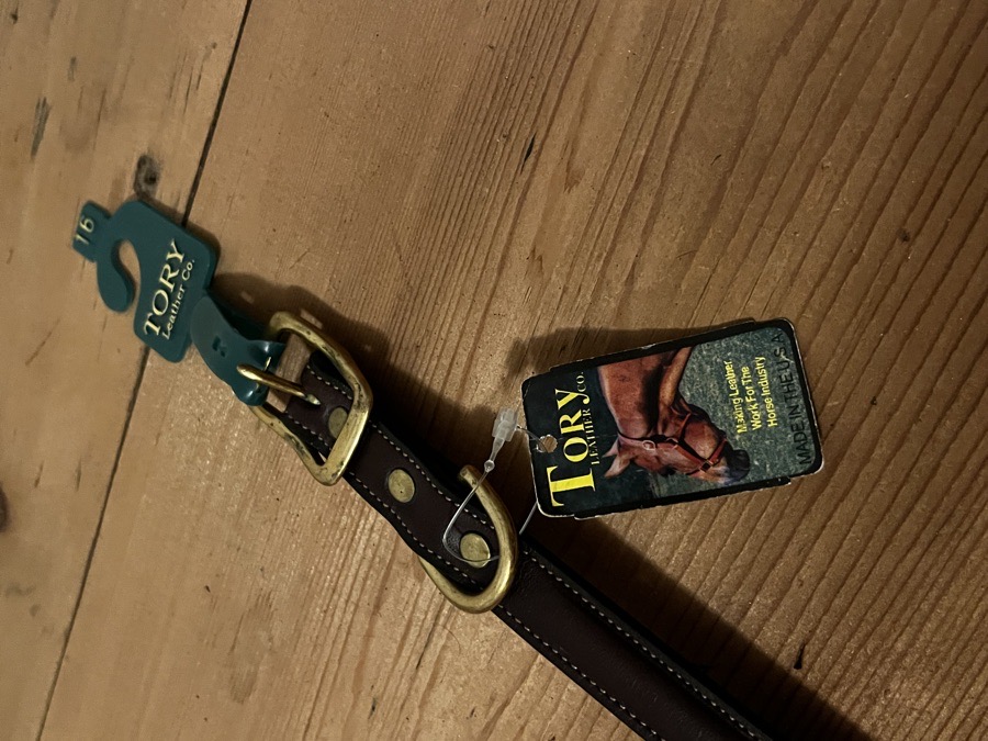 Tory 16” Dog Collar