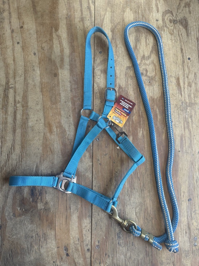 TOUGH 1 halter