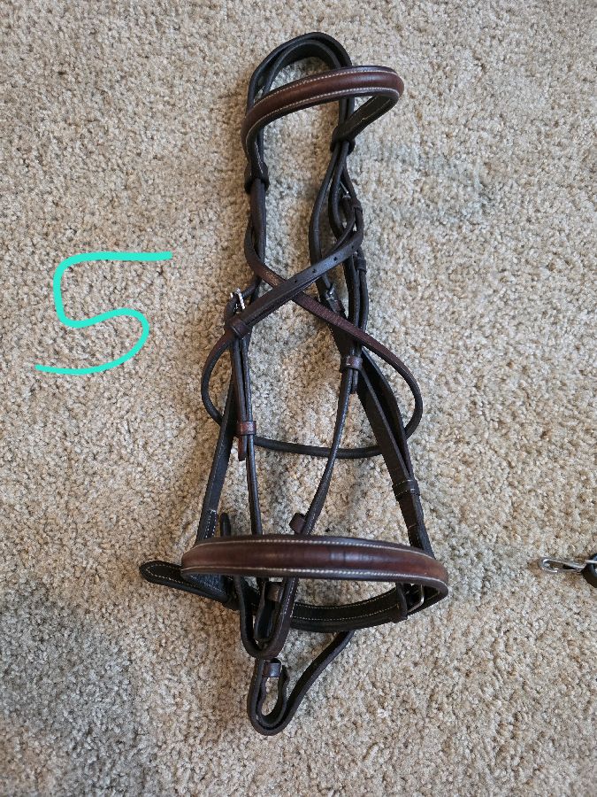 HARMOHN KRAFT Bridle Horse