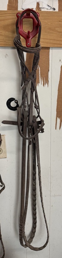 Bridle