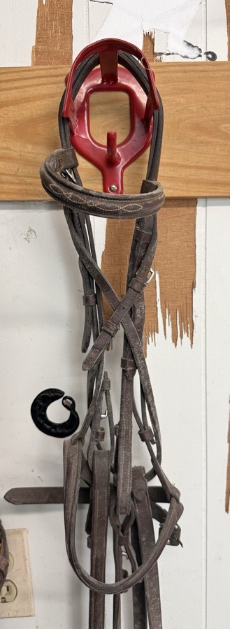 Bridle