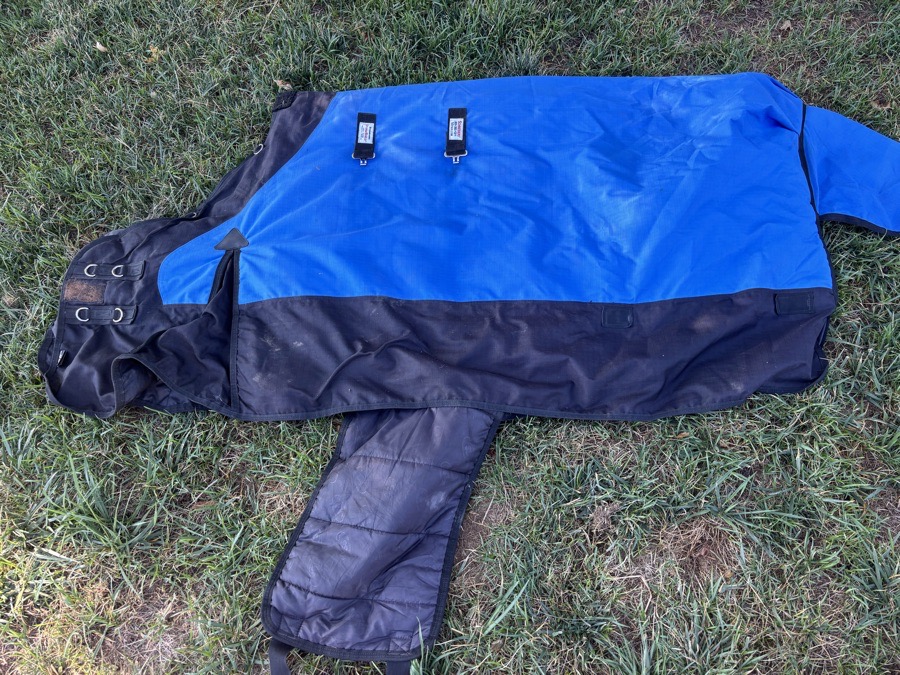 SCHNEIDER'S SADDLERY Rain Blanket & Sheets Horse