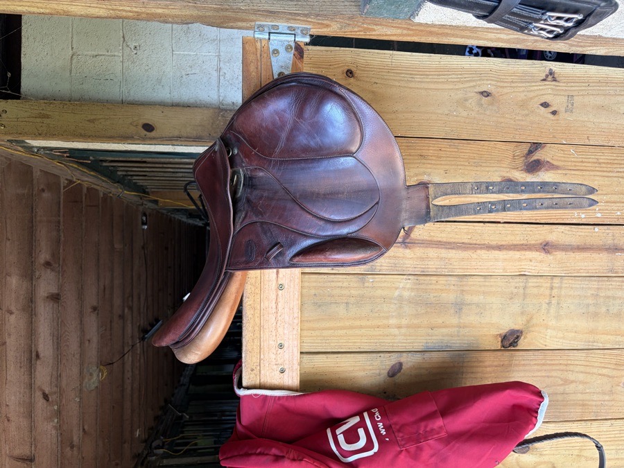 DEVOUCOUX Chiberta LAB | 18" | 4.25" Tree Size | 2011