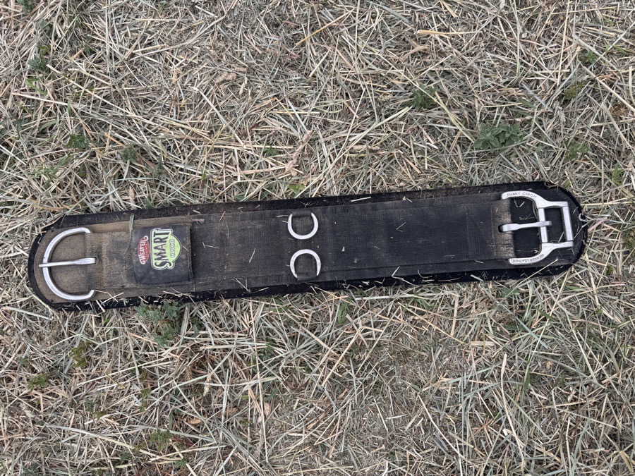 Western smart cinch