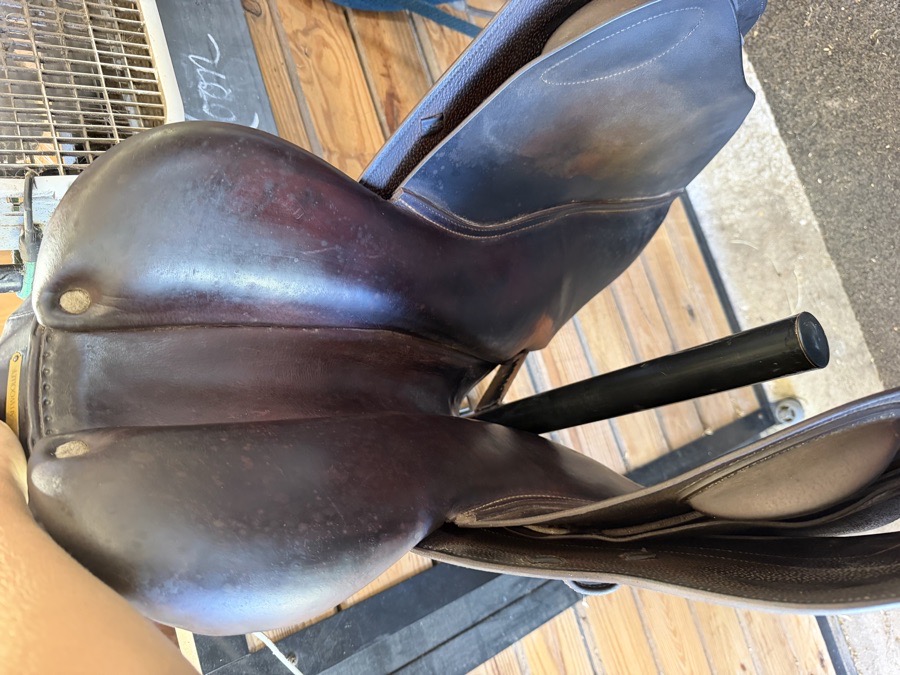 CWD Saddle