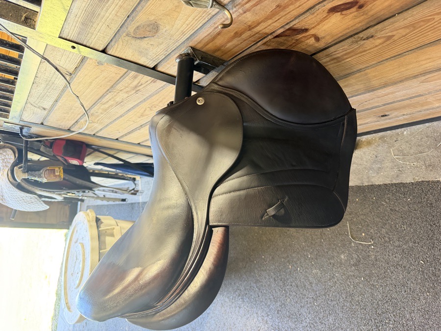 CWD Saddle