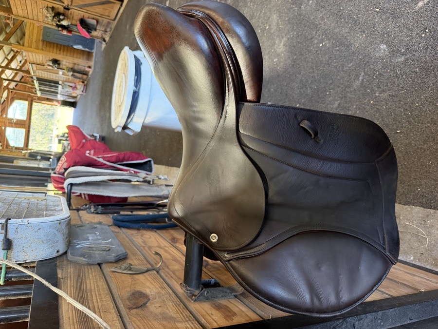 CWD Saddle