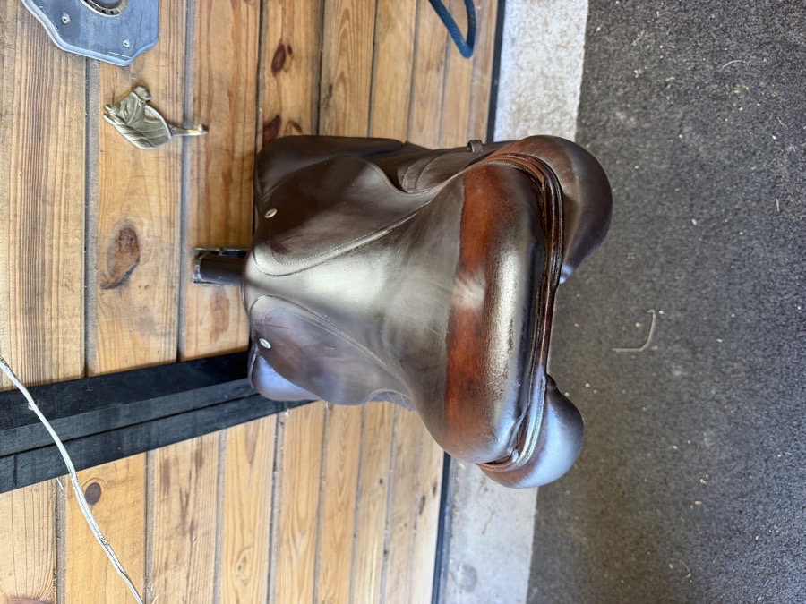 CWD Saddle
