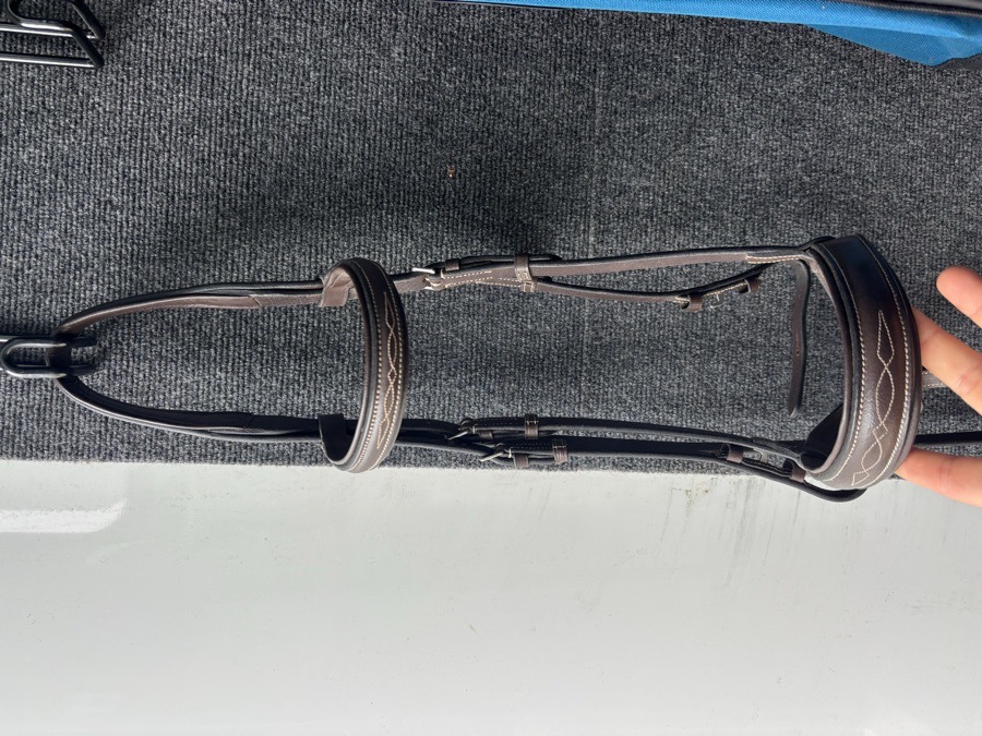 Equinavia Saga Wide Noseband Hunter Bridle