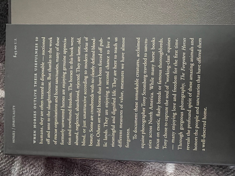 “The Forgotten Horses” Book (New)