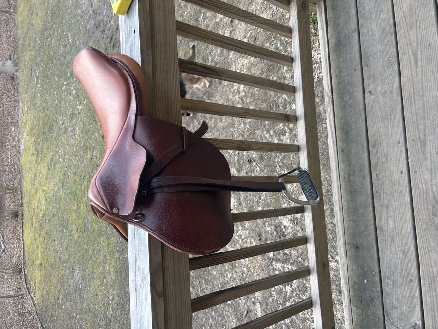 Collegiate saddle