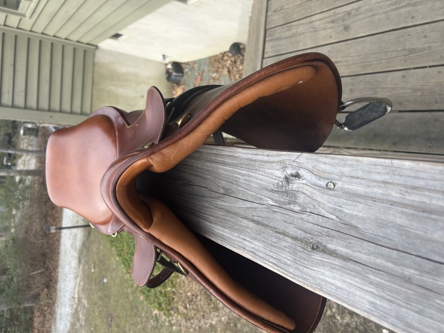 Collegiate saddle