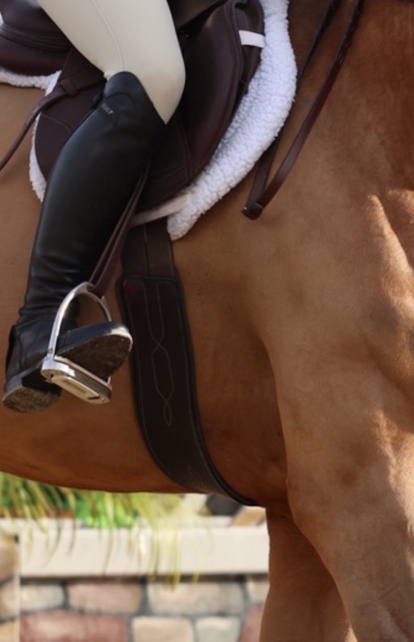 EQUIFIT Girth