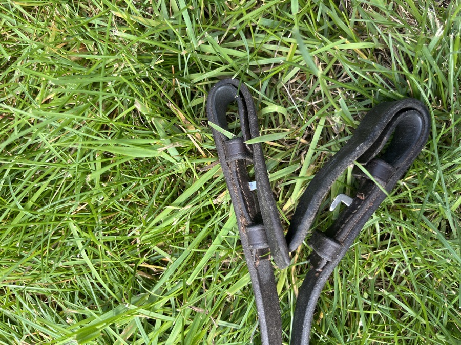 Rubber reins