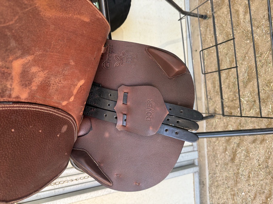 DOVER SADDLERY | 17.5" | 4.75" Tree Size | 2026
