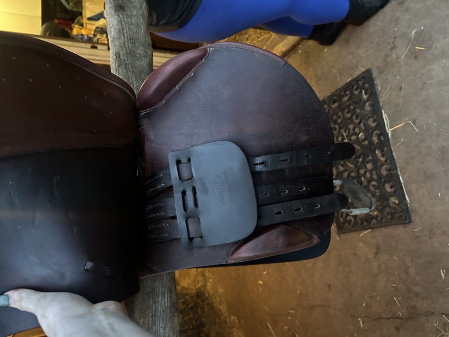 Dominus saddle for sale with stirrups and leathers!