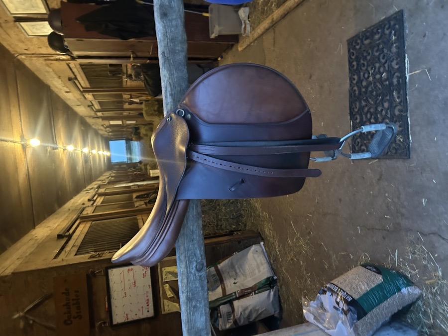 Dominus saddle for sale with stirrups and leathers!