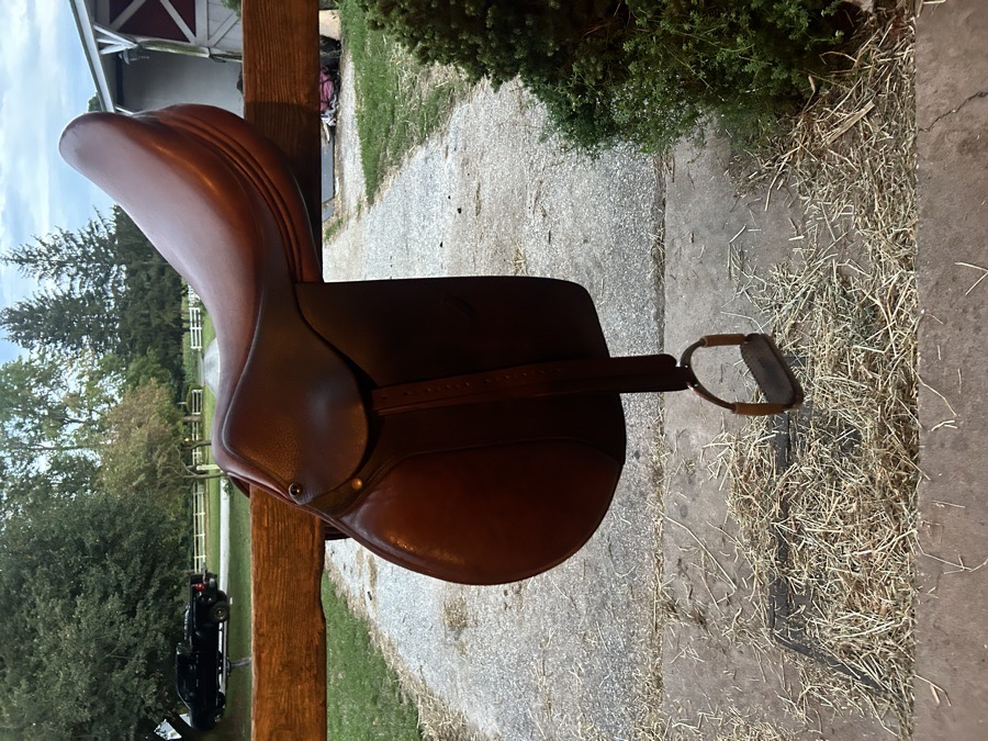 Dominus saddle for sale with stirrups and leathers!