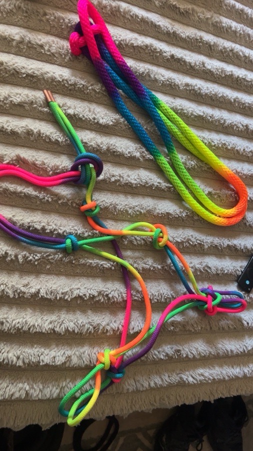 HORSE GEAR