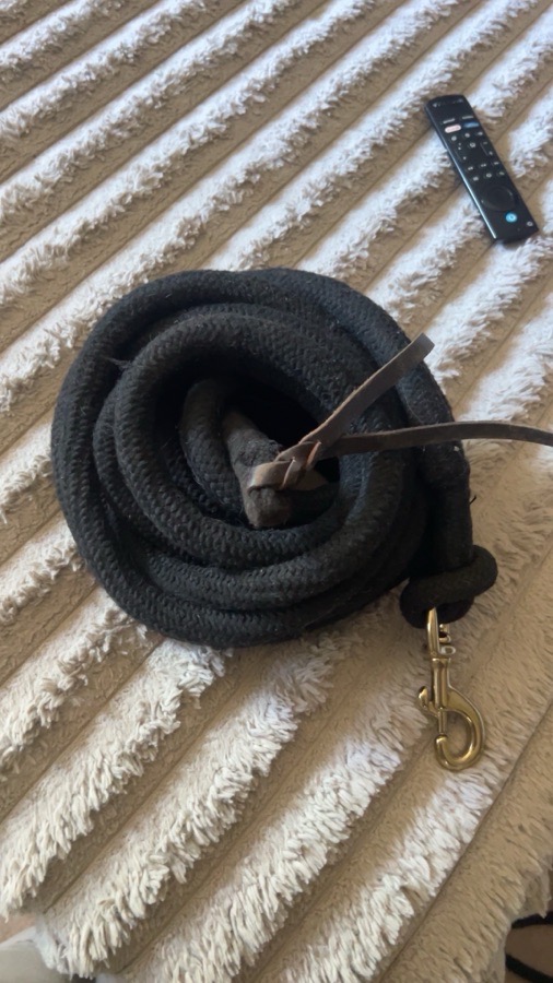 HORSE GEAR