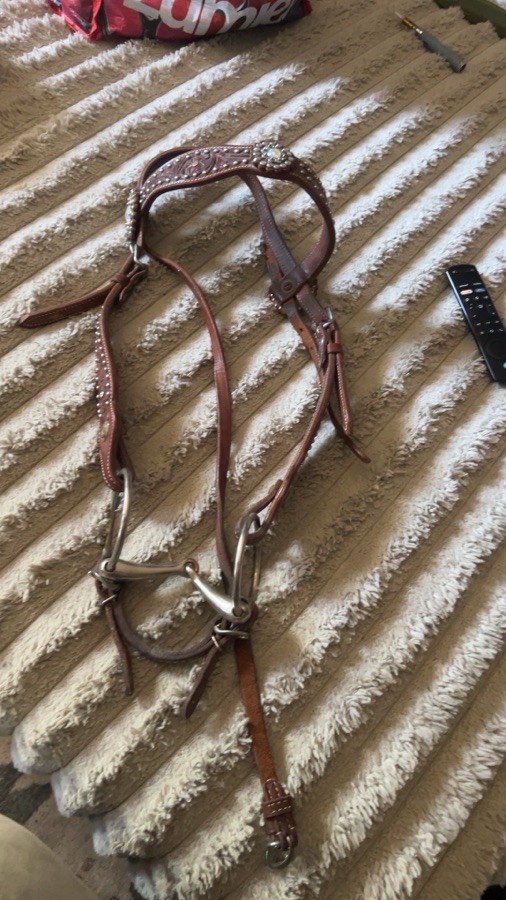 HORSE GEAR