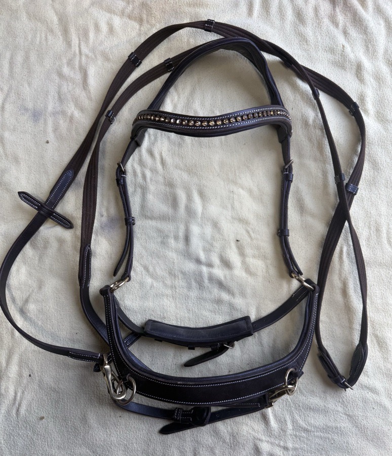 anatomical bitless bridle