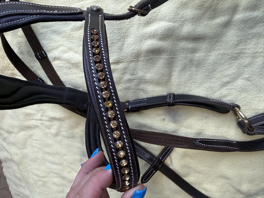 anatomical bitless bridle