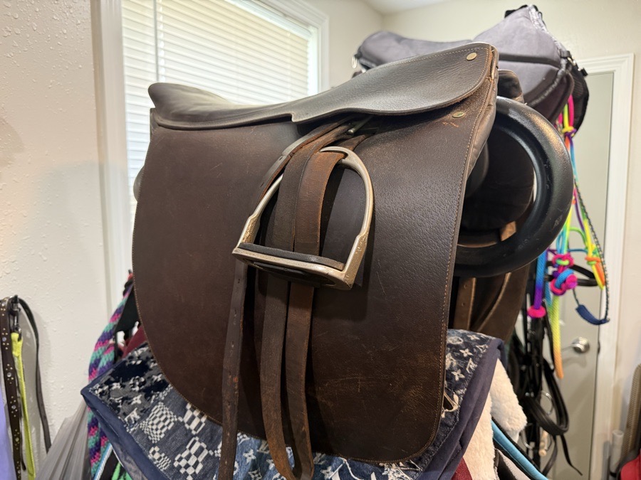 21” Borelli Saddle