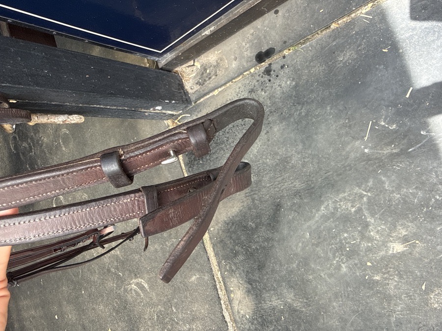 CWD braided Reins Horse