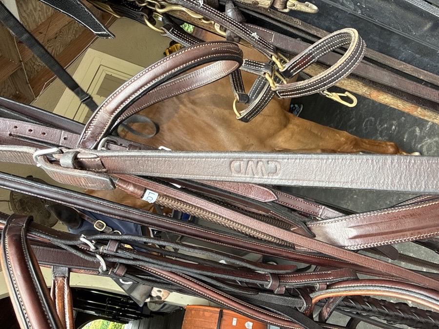 CWD braided Reins Horse