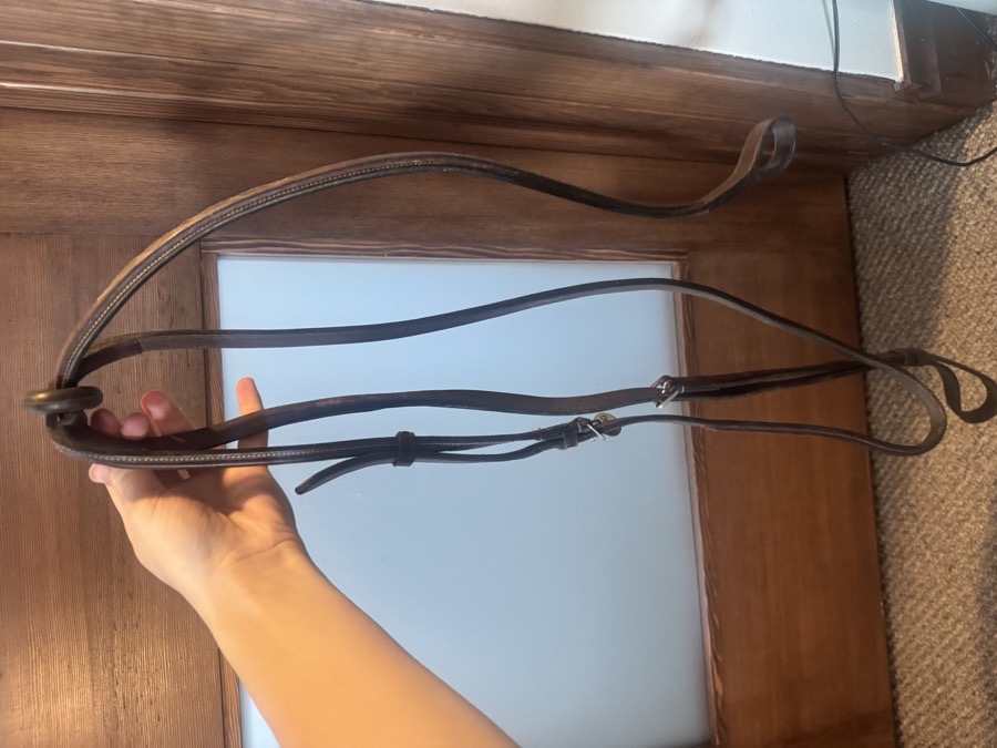 Huntley fancy standing Martingale Horse