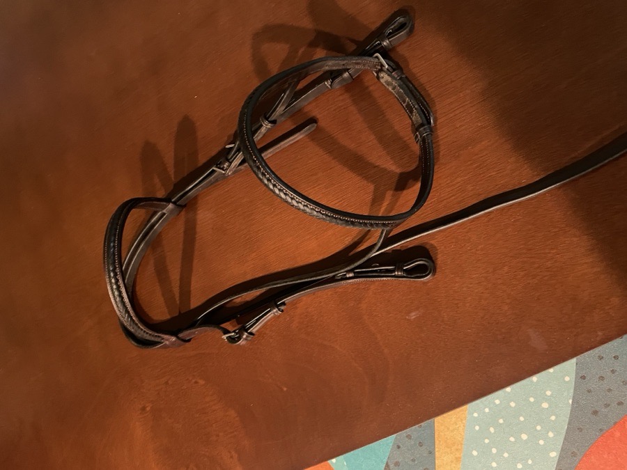 Hunter Bridle & Running Martingale/Breastplate
